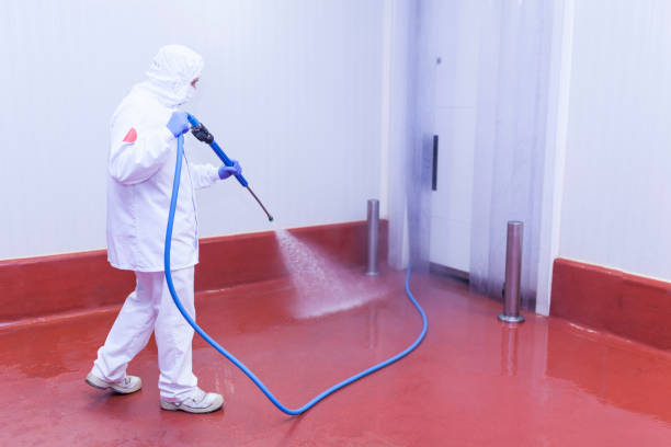 Best Soft Washing  in Rowland Heights, CA