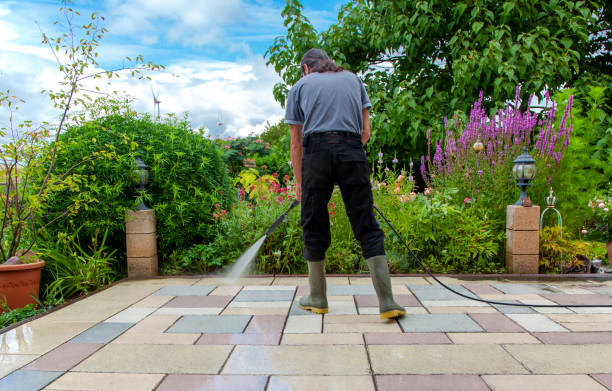 Best Pre-Holiday Cleaning  in Rowland Heights, CA